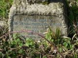 image of grave number 218259